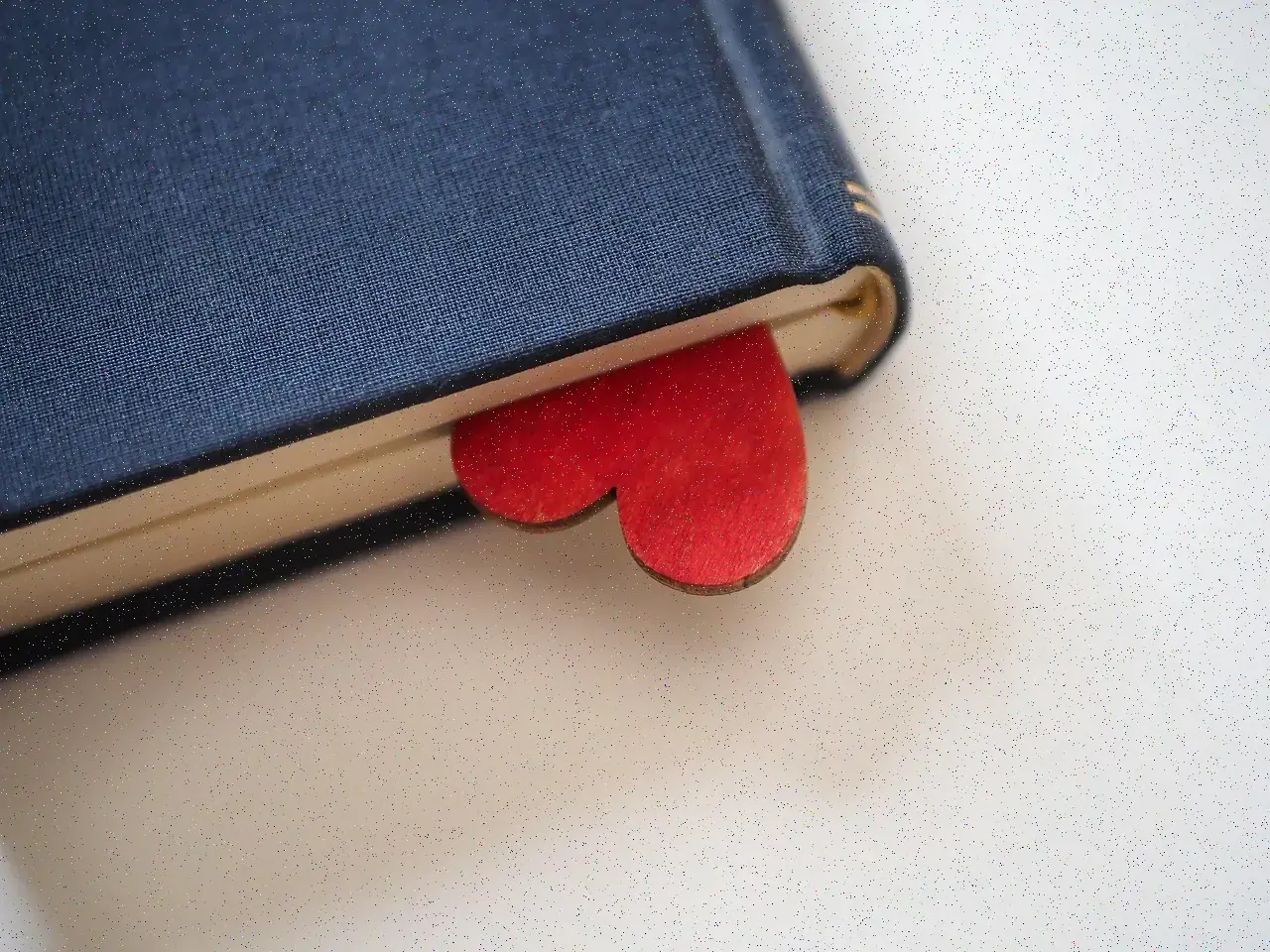 Bez Ciltli Defter — Keçe Ayraçlı